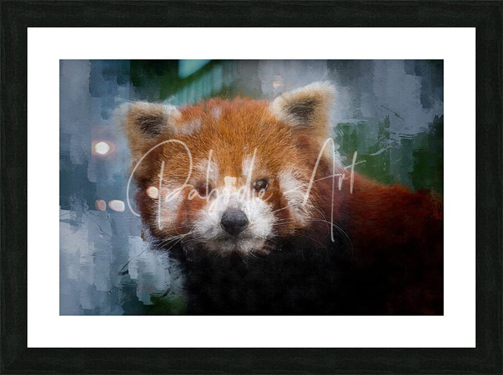 A framed red panda portrait artwork featuring reddish-brown fur white facial markings and dark eyes