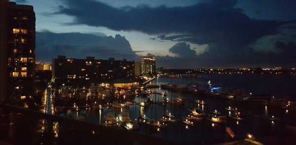 NIght Lights At The Marina - Pabodie Art
