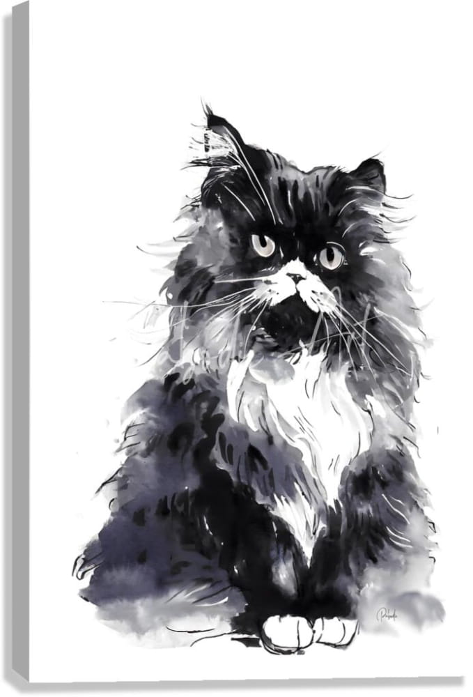 A black and white watercolor canvas painting of a fluffy long-haired cat with striking eyes titled bad hair day kitty