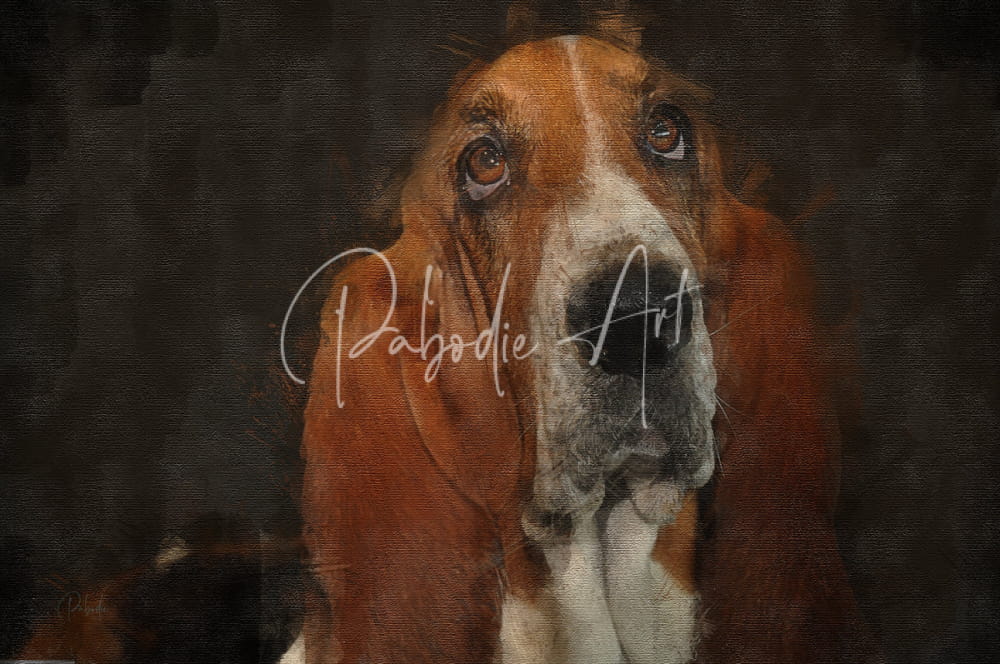 A painted basset hound portrait featuring rich brown and white fur with long floppy ears and expressive eyes