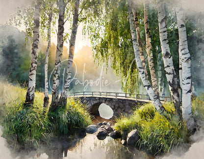 Birch Glen stone bridge with wooden railings spans a gentle stream surrounded by birch trees and lush greenery