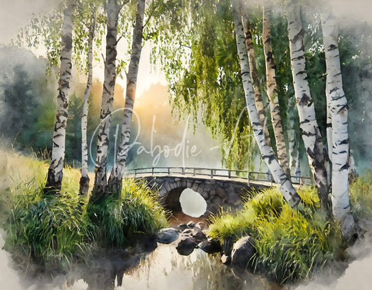 Birch Glen stone bridge with wooden railings spans a gentle stream surrounded by birch trees and lush greenery
