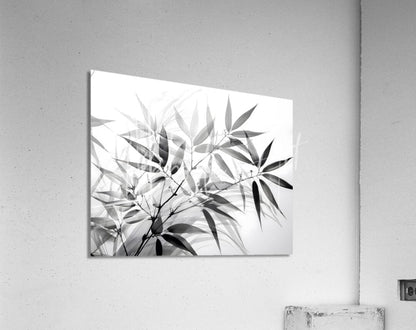 Black and white bamboo leaf artwork on a rectangular acrylic print showcasing minimalist botanical design