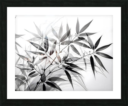 Black and white bamboo artwork featuring monochromatic layered bamboo leaves in gray and white framed in black