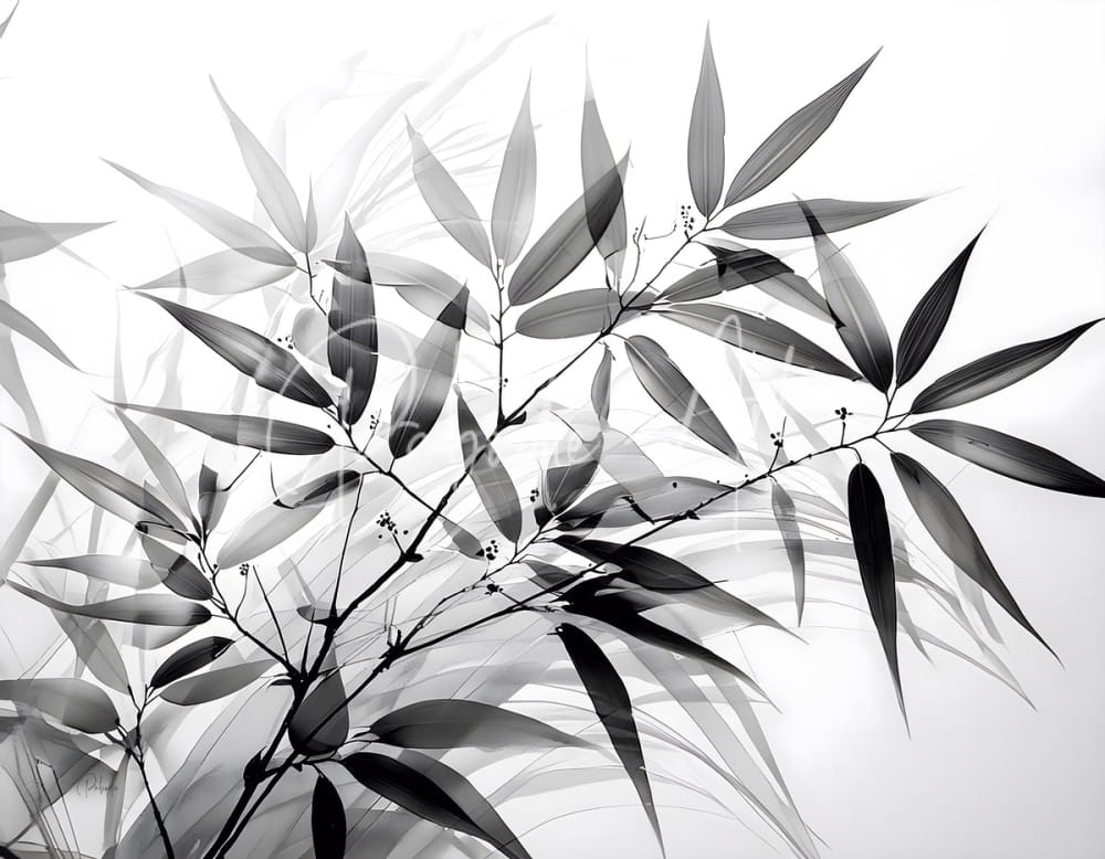 Black and white bamboo product featuring x-ray style image of bamboo leaves on a light background