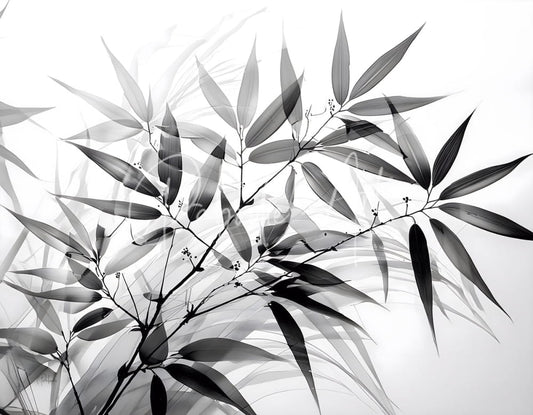 Black and white bamboo x-ray style image featuring detailed bamboo leaves on a light background