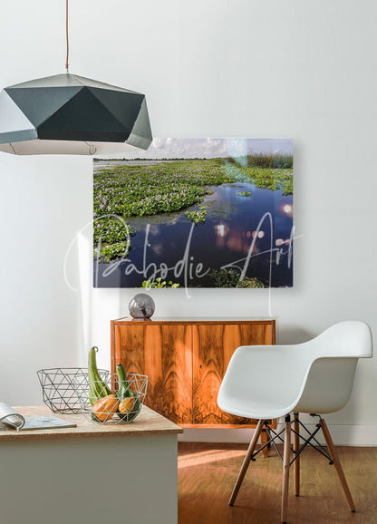 A rectangular canvas print of blue cypress lake featuring a serene waterway and lush green vegetation