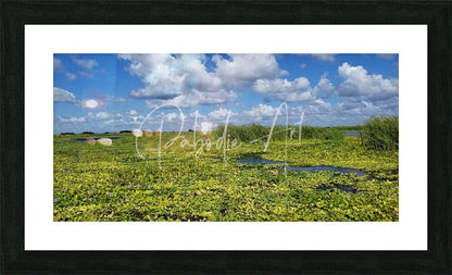 Black-framed art print blue cypress lake II featuring vibrant green marshland under bright blue sky with white clouds