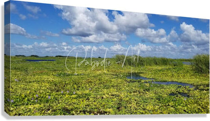 Canvas print titled blue cypress lake ii featuring vibrant green marshland under bright blue sky with white clouds