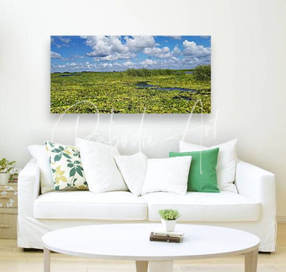 A vibrant rectangular canvas print titled blue cypress lake ii featuring lush green marshland under a bright blue sky