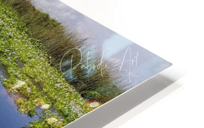 A sleek framed art print titled Blue Cypress Lake featuring vibrant green landscape purple flowers and reflective water by pabodie art