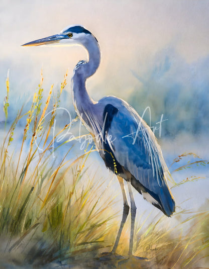 A watercolor painting of a blue-gray great blue heron in tall golden grass for blue heron beachside decor