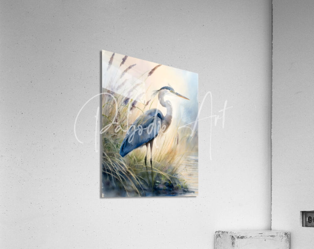 Watercolor painting of a blue and gray heron in tall grass mounted on an acrylic print titled blue heron in the seagrasses