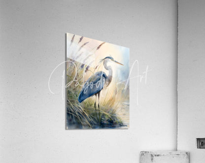 Watercolor painting of a blue and gray heron in tall grass mounted on an acrylic print titled blue heron in the seagrasses