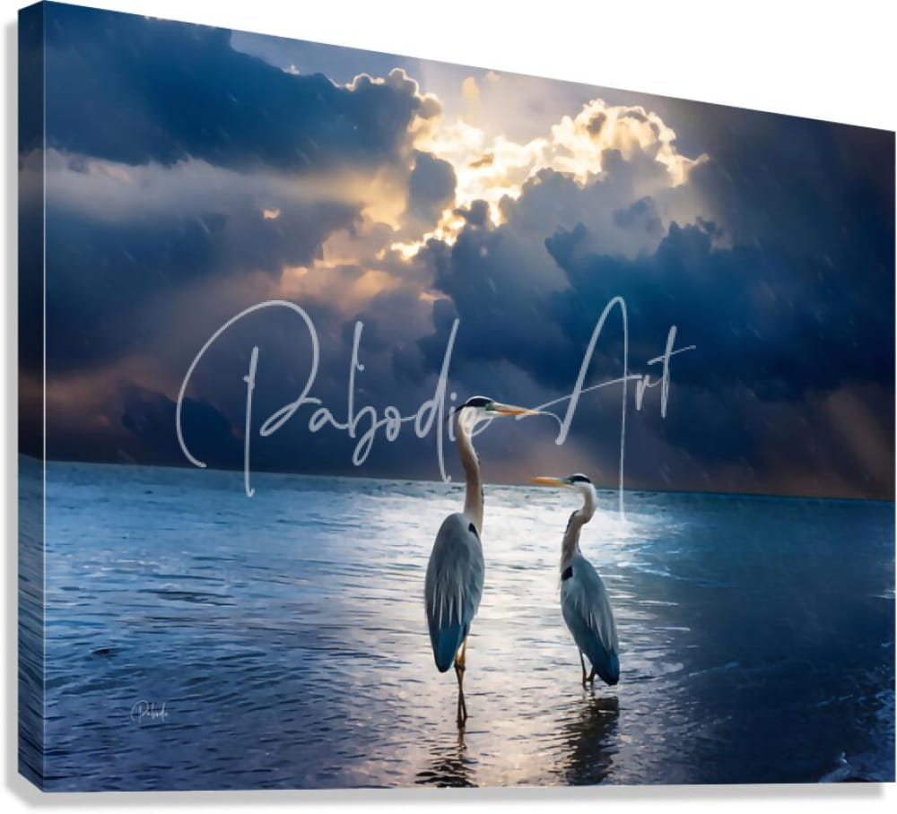 Canvas print of blue herons at dawn featuring two gray herons standing in water under golden light breaking through clouds