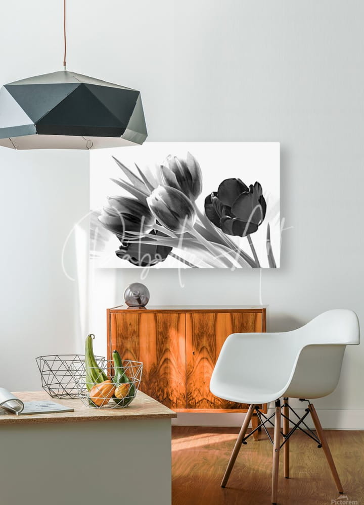 Black-and-white canvas print of breezy blooming tulips hanging on a wall for modern home decor
