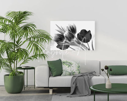 Black and white canvas print of breezy blooming tulips hanging on the wall for elegant home decor