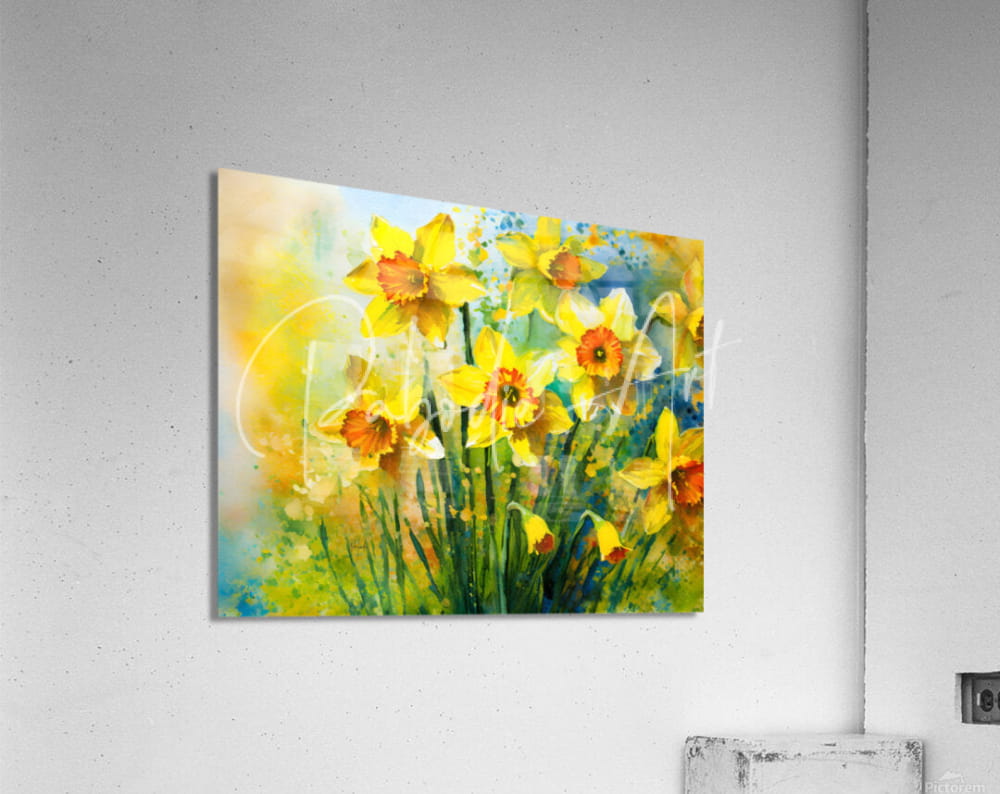 A vibrant watercolor painting titled Bright Daffodills featuring yellow daffodils with orange centers on a white wall