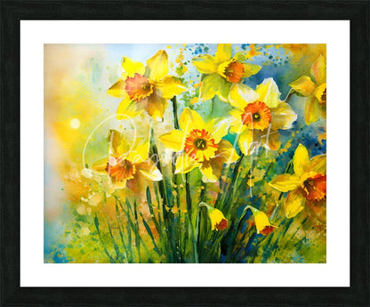 Bright daffodills vibrant watercolor painting of yellow daffodils with orange centers in a sleek black frame