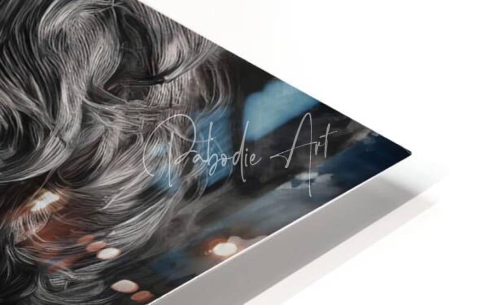 A sleek modern acrylic print titled Brother Buddies featuring flowing silver gray hair on dark blue black background