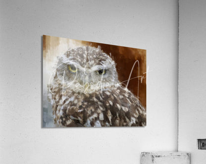 A rectangular acrylic print of a detailed watercolor burrowing owl portrait with brown and white feathers and yellow eyes