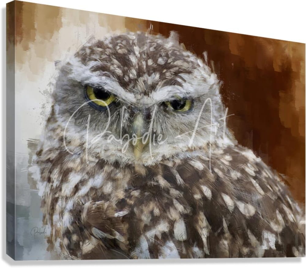 A canvas print of a burrowing owl portrait with detailed watercolor feathers and piercing yellow eyes