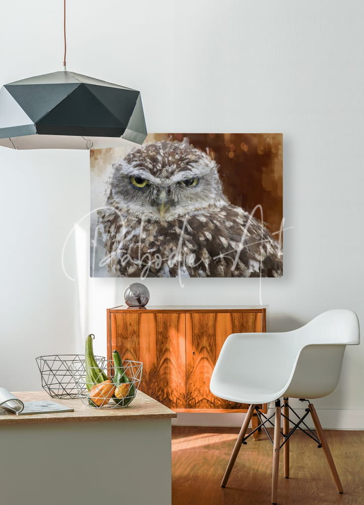 A framed canvas print of a burrowing owl portrait featuring mottled brown and white feathers and intense yellow eyes