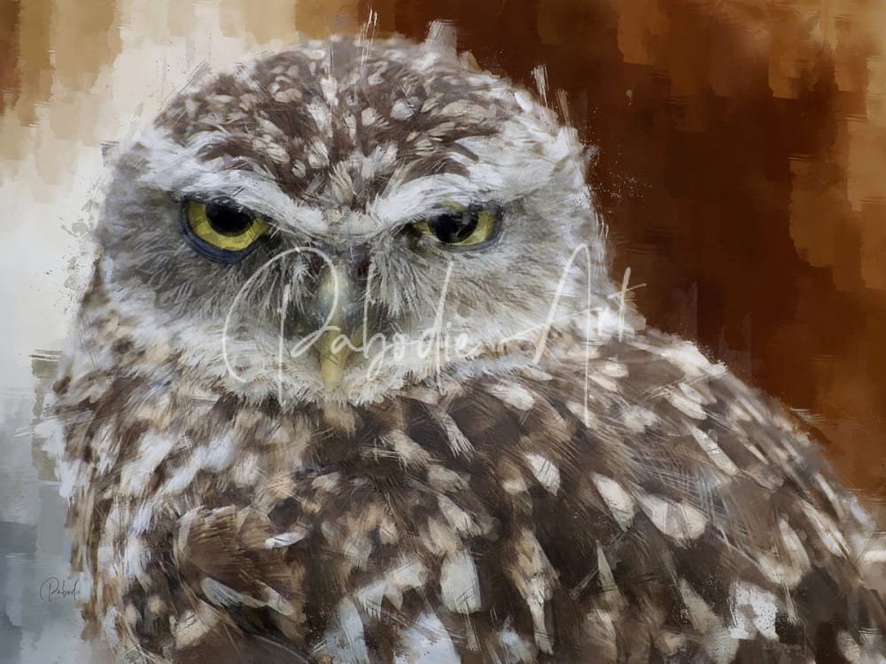 A detailed watercolor painting of a burrowing owl with yellow eyes and mottled brown white and gray feathers in burrowing owl portrait