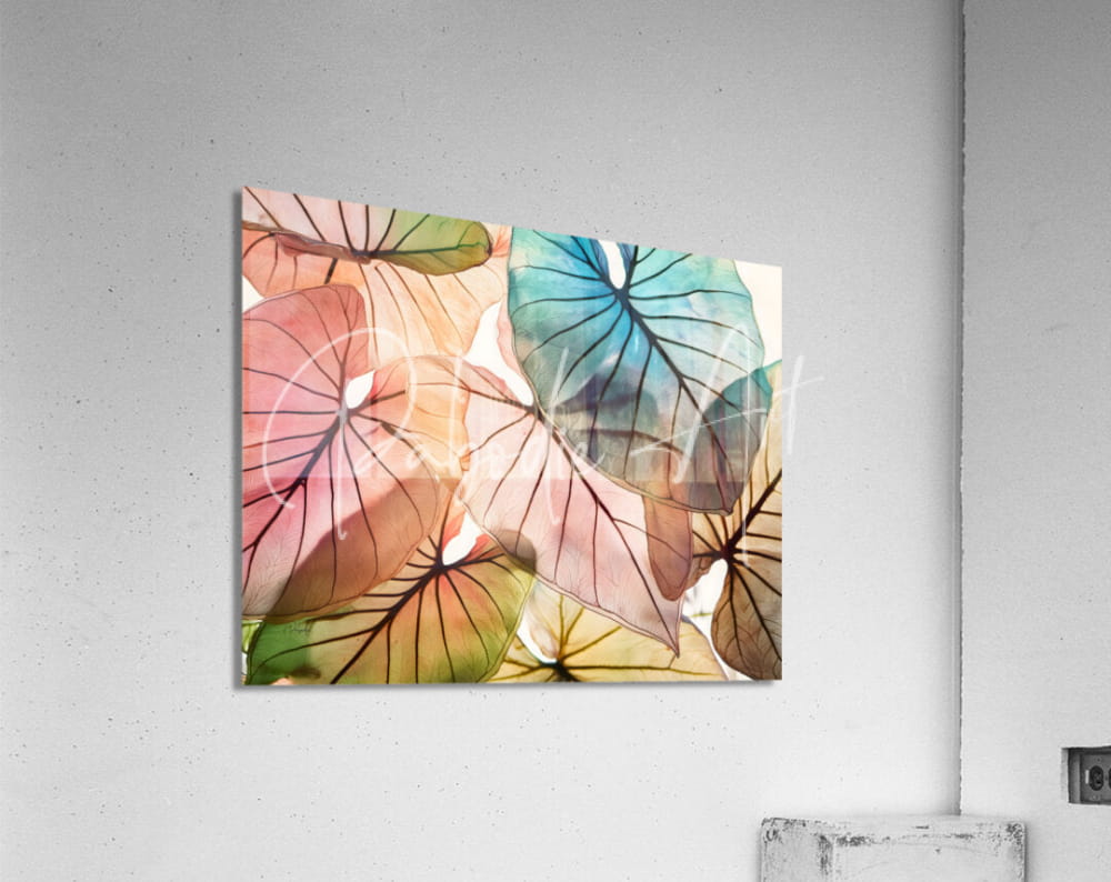 Caladium colors i acrylic print featuring vibrant watercolor overlapping tropical leaves in soft pinks blues and greens