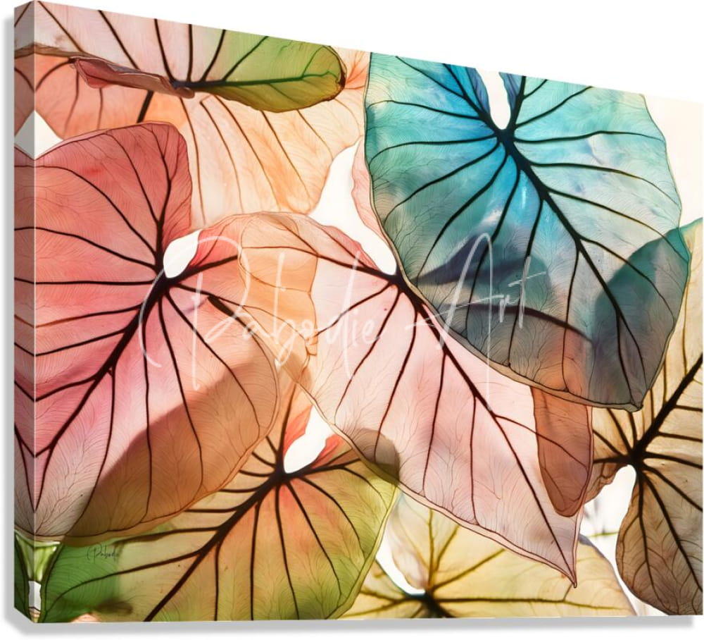 A vibrant watercolor canvas print titled caladium colors i featuring overlapping tropical leaves in pink peach teal and green