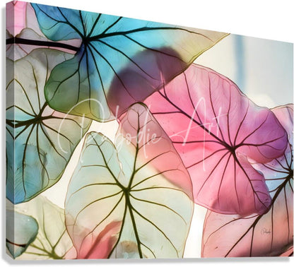 A vibrant canvas print caladium colors II featuring stylized tropical leaves in pastel pink blue and green with black veining