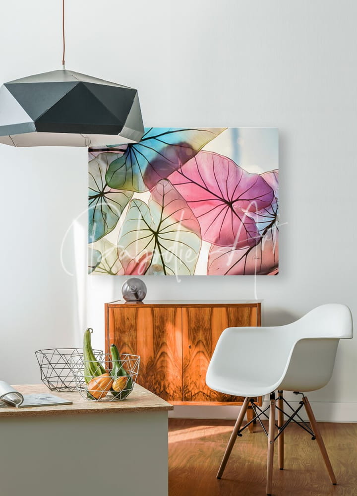 Caladium colors ii vibrant abstract canvas print with overlapping lotus leaves in pink purple and green with black veins