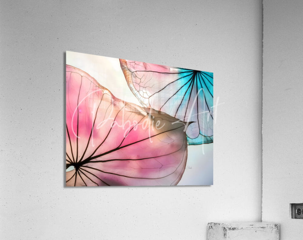 A vibrant pink and teal watercolor lotus leaf design on a sleek acrylic wall art panel called caladium colors iii