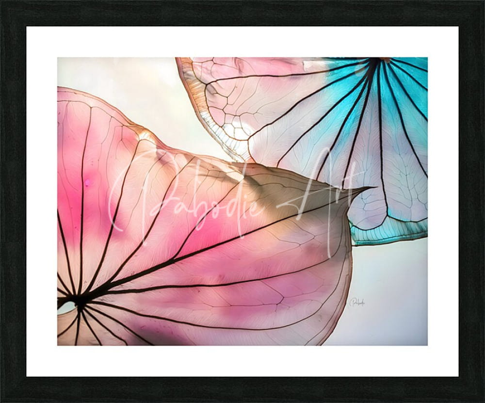 A framed Caladium Colors III artwork featuring translucent watercolor lotus leaves in soft pink and vibrant turquoise hues