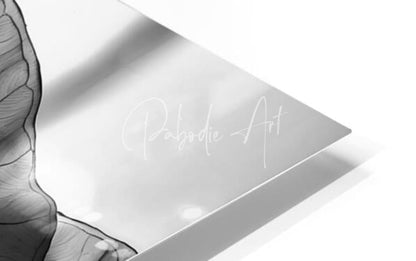 A sleek metallic triangular plaque with cursive inscription pabodie art related to caladium leaves in black and white
