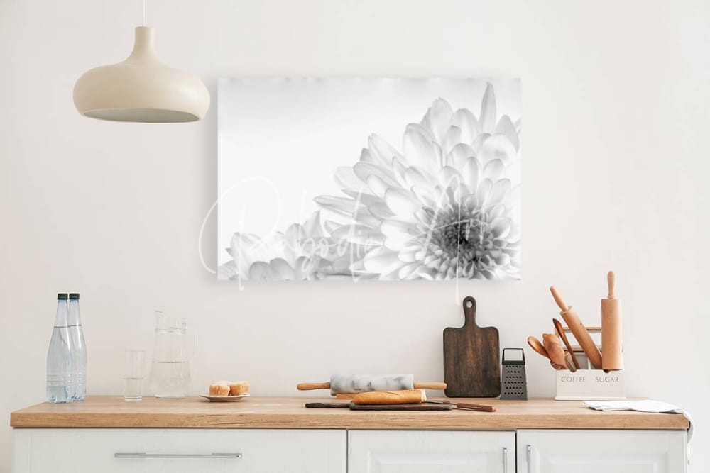 A black and white floral canvas print featuring a detailed monochromatic dahlia with soft shading and layered petals