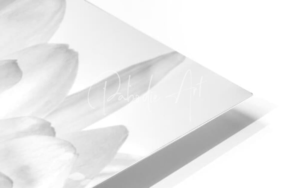 A sleek silver metallic plaque with embossed floral design and faint engraved text from chrysanthemum in black and white