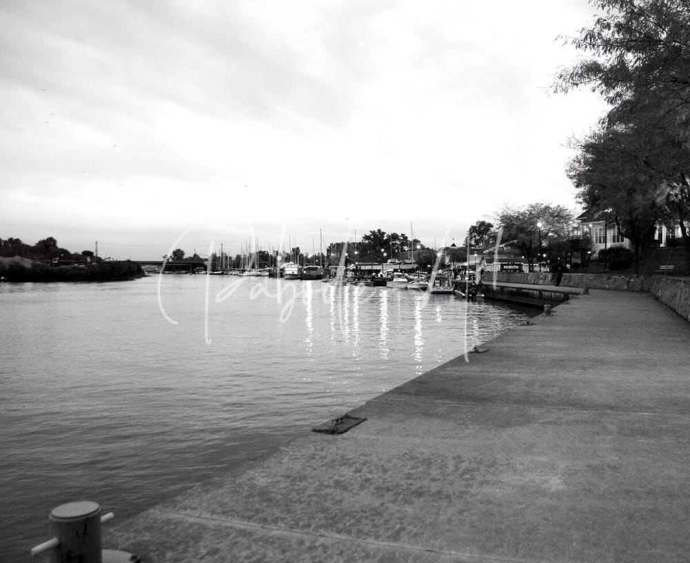 Black and white photo titled cloudy dawn showing a waterfront dock with boats trees and distant buildings