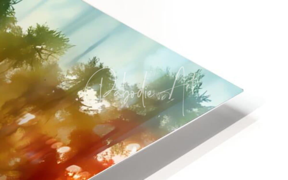 A sleek rectangular acrylic print of cypress trees in the swamp with vibrant orange and blue forest tones