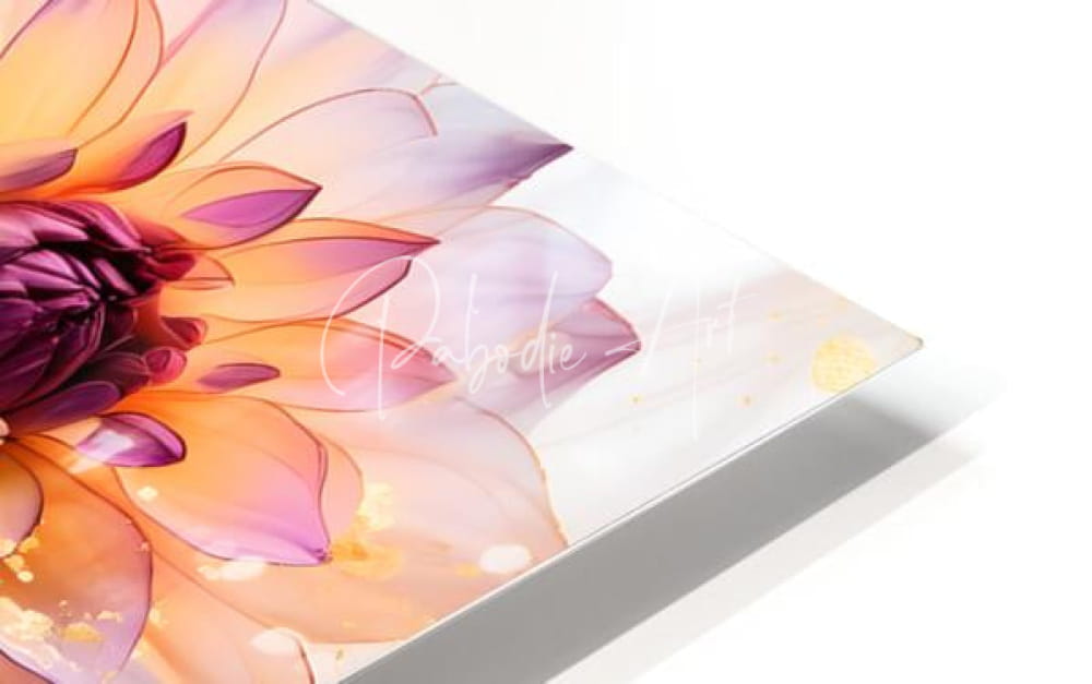 A vibrant acrylic print titled Dahlias Study II featuring a gradient dahlia flower in purple peach and orange hues