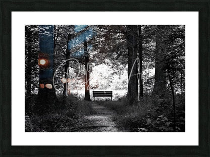 Black-framed art print dark to light with a serene forest path and wooden bench highlighted by orange and blue light