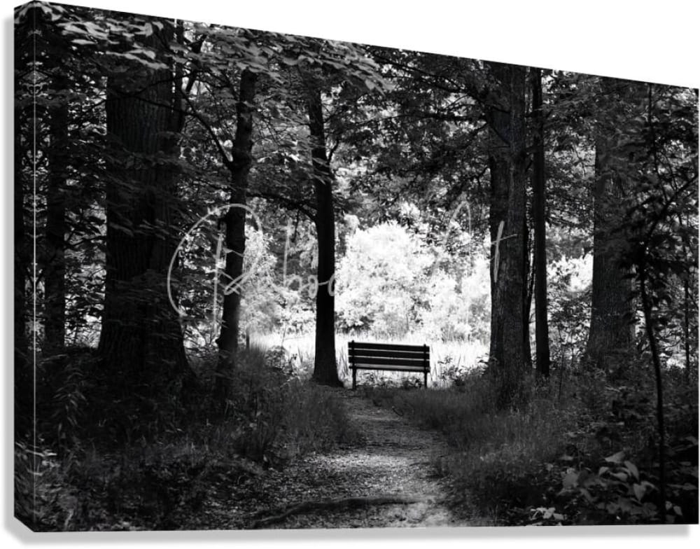 Black and white canvas print of a wooden bench on a forest path titled dark to light for home decor