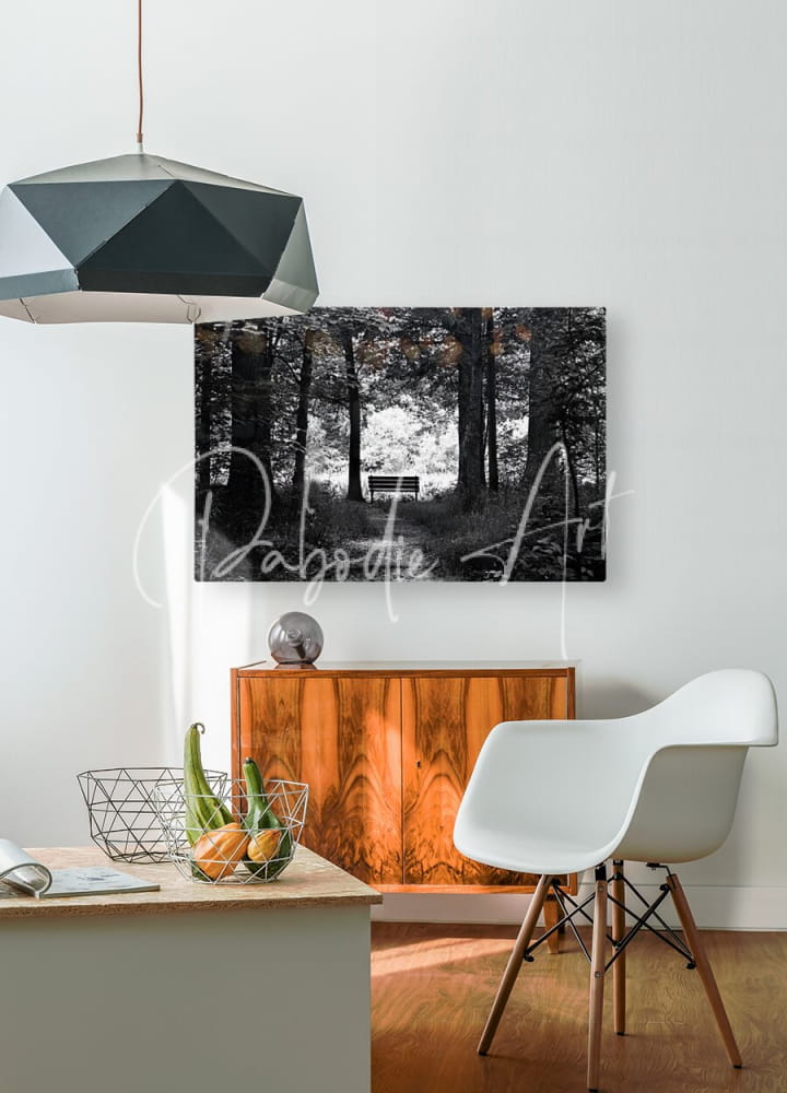 Black and white forest scene canvas print titled dark to light mounted on white wall above a wooden bench