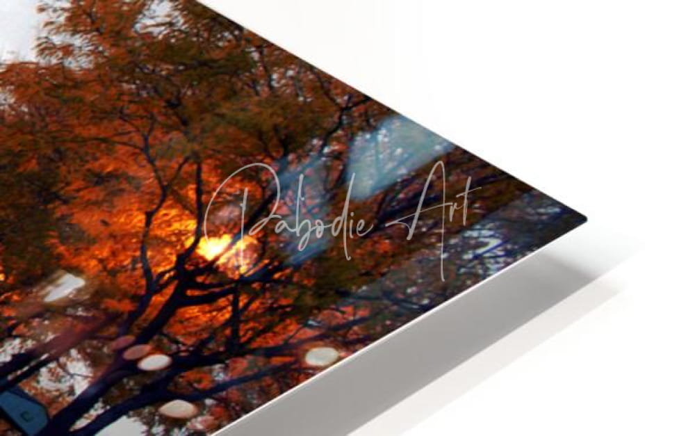 A sleek white acrylic print titled dawn on the huron river featuring a vibrant autumn tree scene with pabodie art signature