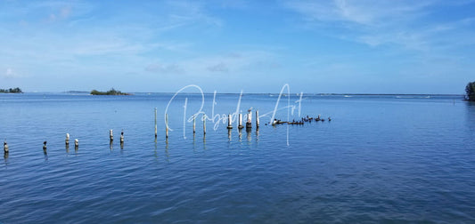 A serene blue ocean scene with wooden pilings and distant islands under a clear sky for dock of better days
