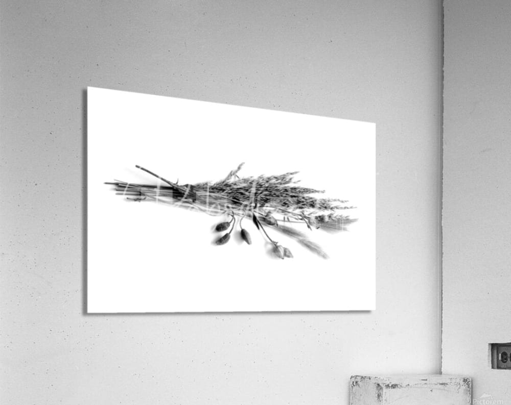 Black-and-white acrylic print of dried grasses and flower pods bundle for natural home decor