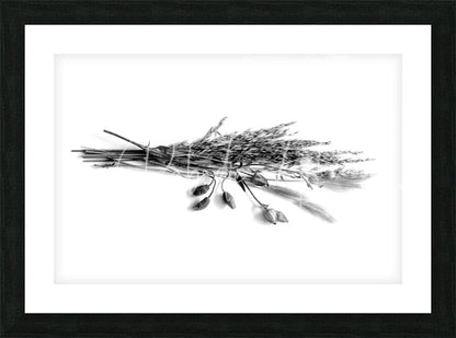 Black-framed artwork featuring a monochrome photograph of dried grasses and flower pods in a naturalistic arrangement