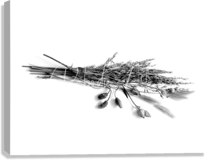 A monochrome canvas print of dried grasses and flower pods arranged in a bundled design