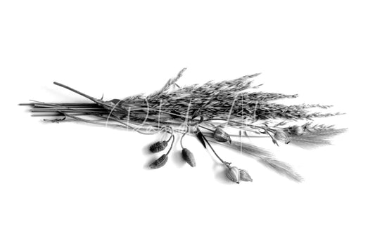 A monochrome arrangement of dried grasses and flower pods showcasing natural texture and neutral tones