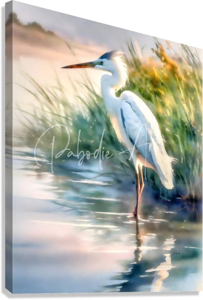 White heron with long orange beak and slender legs standing in shallow water among tall reeds in egret pose